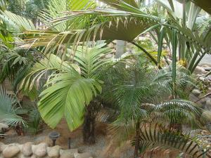b048.jpg